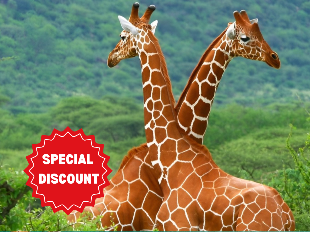 romantic-tanzania-honeymoon-safari-packages